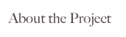 About the Project
